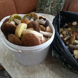 �������, ������, 61 ���