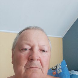 , 53,  