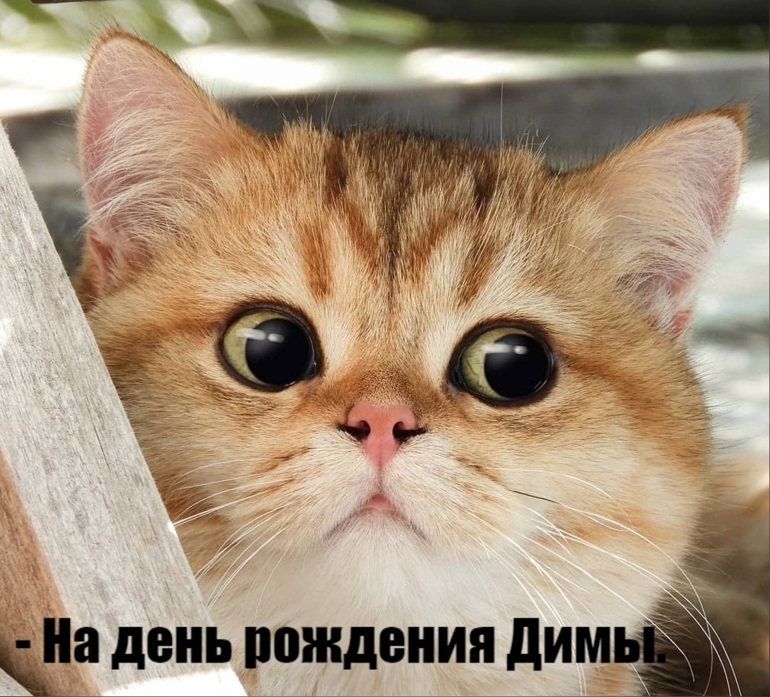       - 4  2025  16:03 - 3