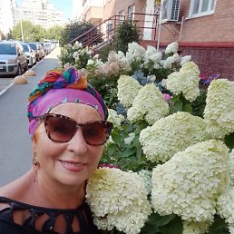 , 56, 