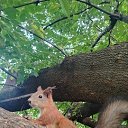 ���� ����, ����, 37 ��� - ��������� 1 ������ 2026