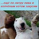 ���� Slavian Slav, �����������, 61 ��� - ��������� 10 ������ 2025 � ������ ������ ��������