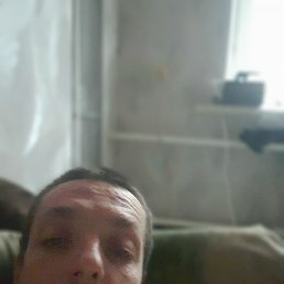 ����, �����-���������, 36 ���