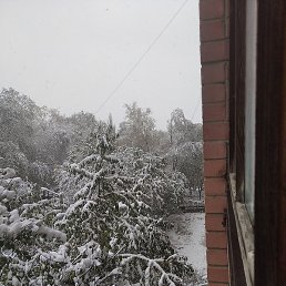 ��������, ������, 42 ����