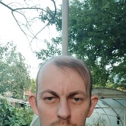 , 41, 