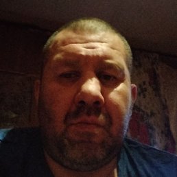 �������, ������, 46 ���