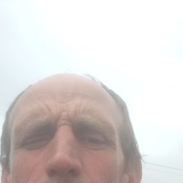 , 44, 