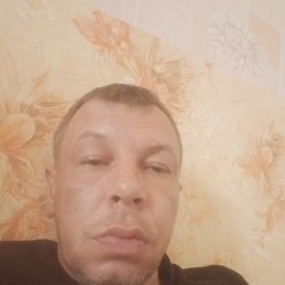 , 41, 