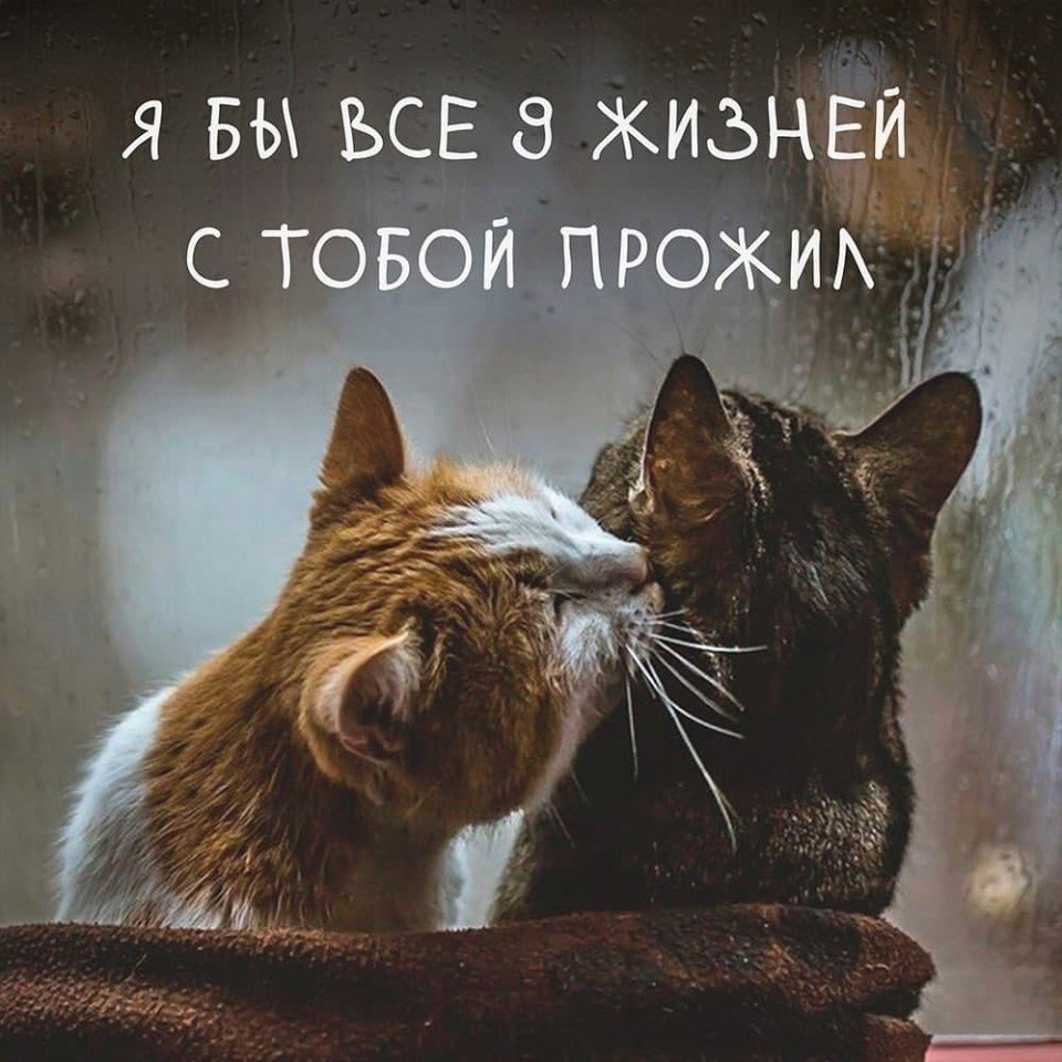    - 24  2025  16:11