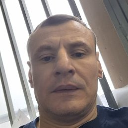 ����, ������, 46 ���