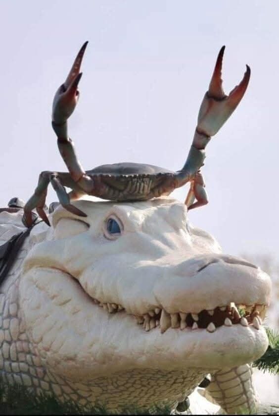 :) . .