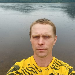 , 41, -