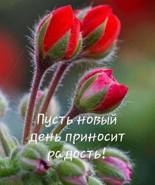   - 24  2023  07:55