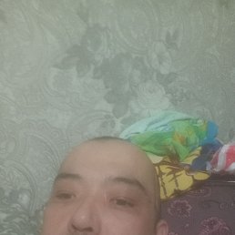 , 36, 