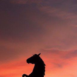 ��, ���������, 29 ���