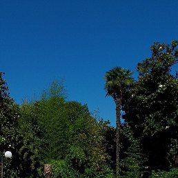 �����, �����������, 46 ���