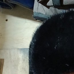 �������, ������, 46 ���