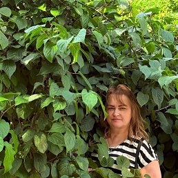 , 49, 