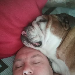 , 39, 