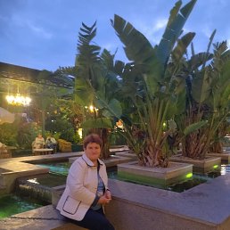 , 54, 