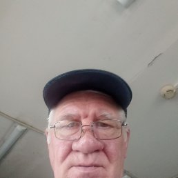 , 66, 
