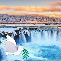 �����, ������, 51 ���