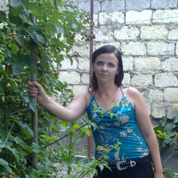 ������, 41 ���, ������