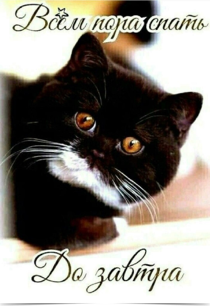 ~~~~~~~~~~