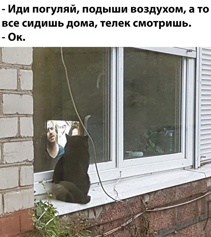    - 15  2024  00:44