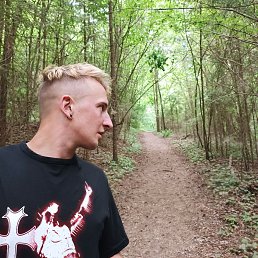 , 29, 