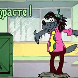 ����, ������, 50 ���