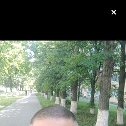 ������, 48 ���, ������ �����