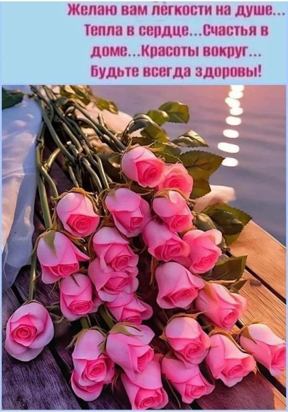 ₪╬═►  ||  ||  ◄═╬₪ - 6  2023  17:35