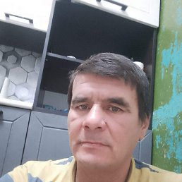 ���� �����, ���������, 56 ��� - ��������� 25 ������ 2025