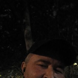 , 39 , 