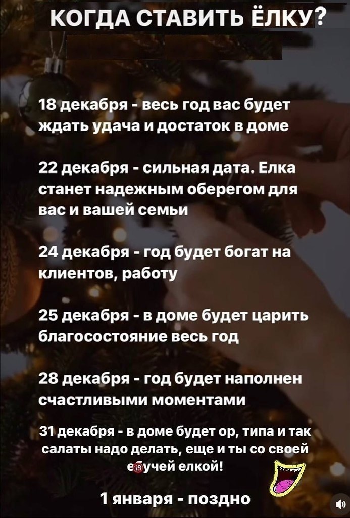   - 22  2023  04:41