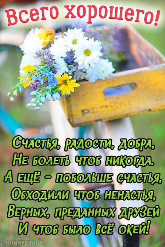  - 10  2025  14:33
