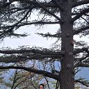 ���� ������, ������, 65 ��� - ��������� 12 ������� 2025 � ������ ���� ����������