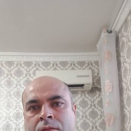 �������, ������, 43 ����