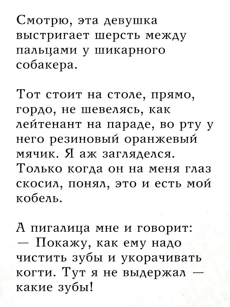     ,           . ... - 5