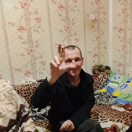 ������, 37 ���, ����