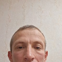 ���� ����, �����-���������, 46 ��� - ��������� 26 ������� 2026