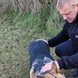 ����, �����������, 40 ���