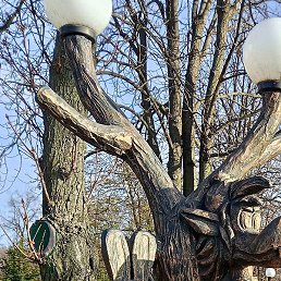 �������, ��������, 33 ����