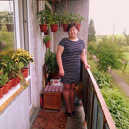 , 56, 
