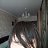 ���� Valentina66, ����������, 59 ��� - ��������� 1 ���� 2024