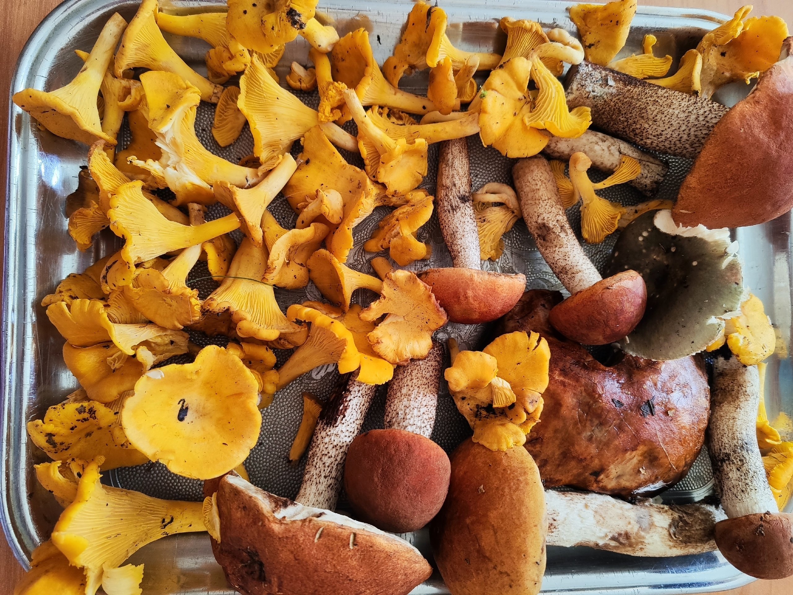   - 3  2025  14:49 - 2