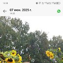   , -, 85  -  7  2025
