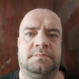 �������, �����-���������, 41 ���