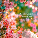 ���� �, ������ - ��������� 18 ������ 2026 � ������ ������ ��������